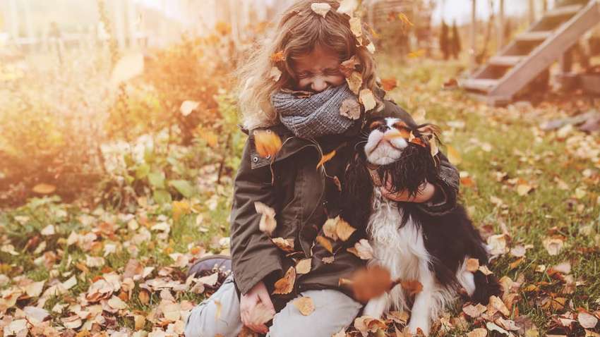 Прогноз погоды: когда Украину настигнет похолодание Прогноз погоды: когда Украину настигнет похолодание