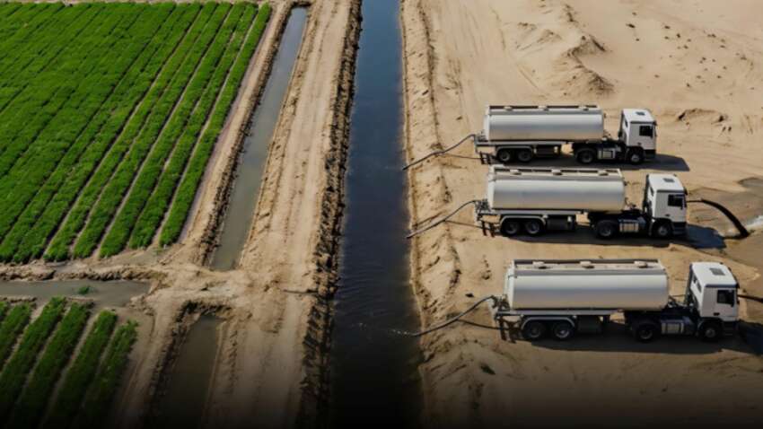 Песок больше не приговор: норвежцы научились за считанные часы превращать пустыню в плодородное поле