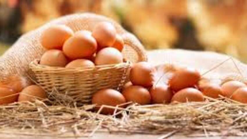 Великі яйця – не означає кращі: правда про категорії С0, яку приховують від покупців