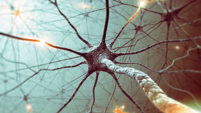 Что еще убивает нервные клетки, кроме алкоголя Что еще убивает нервные клетки, кроме алкоголя