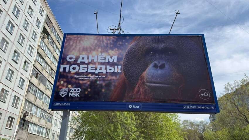 Вместо ветеранов - приматы: россиян «поздравили» с 9 мая странным баннером
