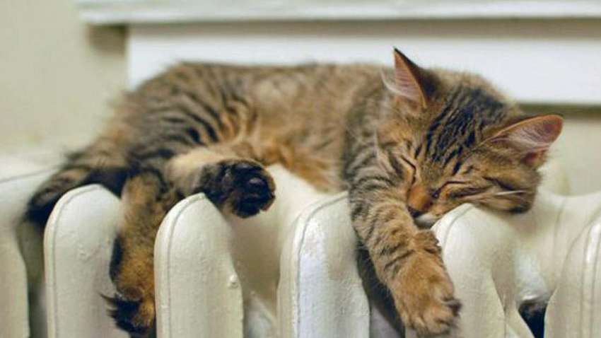 Опалювальний сезон в Україні: на 100% опалення підключено лише в трьох областях