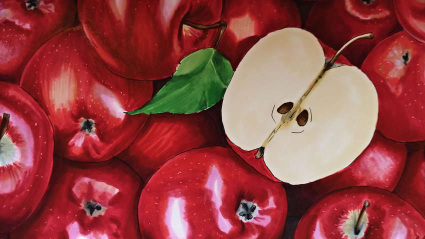 Свежие круглый год: ученые вывели новый сорт яблок