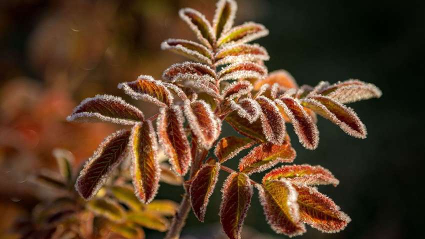 Синоптик попередила українців про одне з найкрасивіших метеорологічних явищ: коли воно буде Синоптик попередила українців про одне з найкрасивіших метеорологічних явищ: коли воно буде