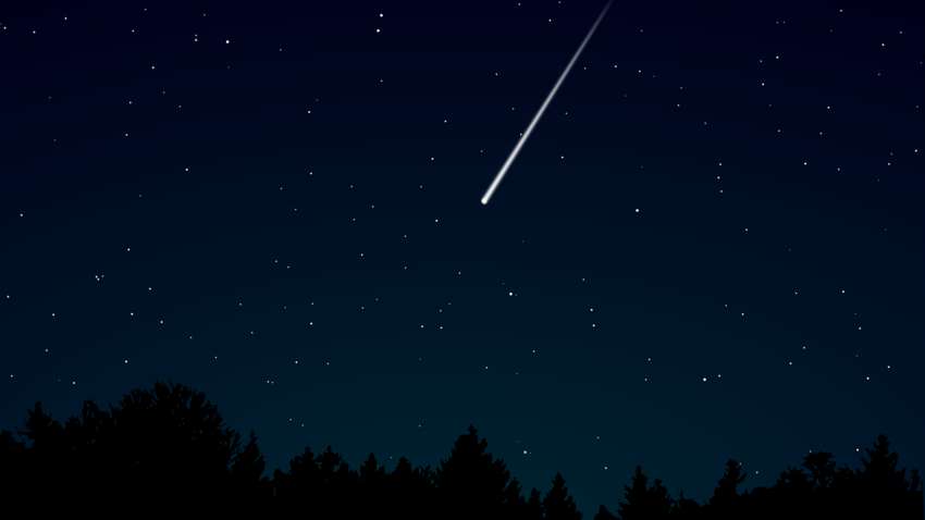 В австралійському парку чоловік виявив знахідку позаземного походження: як вона виглядає(ФОТО) В австралійському парку чоловік виявив знахідку позаземного походження: як вона виглядає(ФОТО)