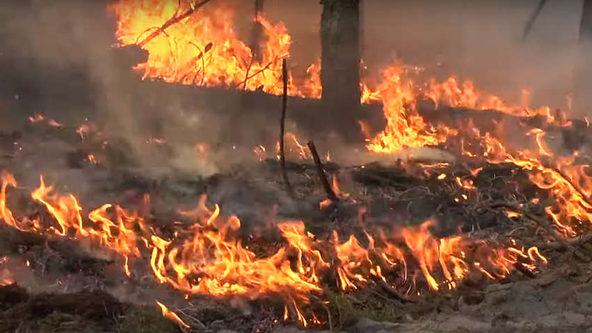 У ДСНС назвали причину пожеж у Чорнобильській зоні