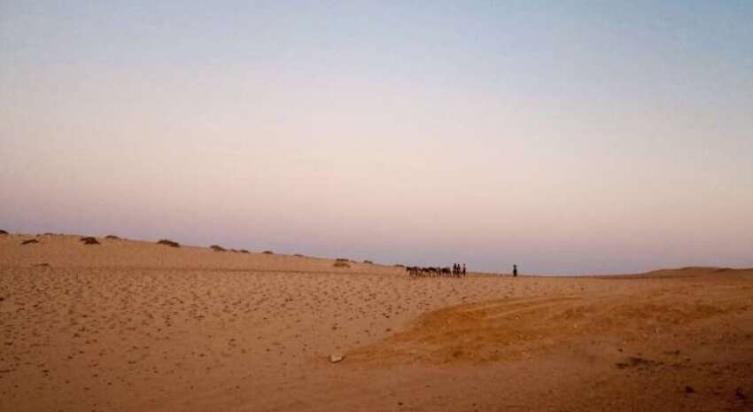 Ученые благодаря ДНК пришли к новому открытию о Северной Африке