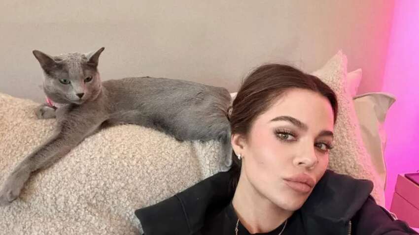 Хлои Кардашьян попала в скандал из-за своих кошек: что с ними сделала Хлои Кардашьян попала в скандал из-за своих кошек: что с ними сделала