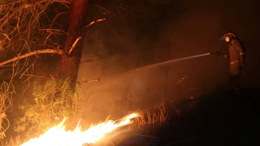 В Іспанії знову палахкотять ліси: влада підозрює умисний підпал (ФОТО)