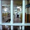 Члены полтавской банды шантажировали СБУ, требуя 600 у.е. тысяч