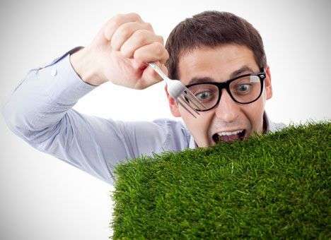 Когда идеологи сепаратизма слепят новый «ПиСУАР»