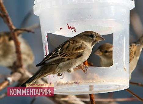 Через два дня в Украине потеплеет
