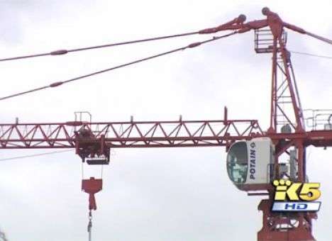 Семья енотов устроила ночлег на строительном кране в США