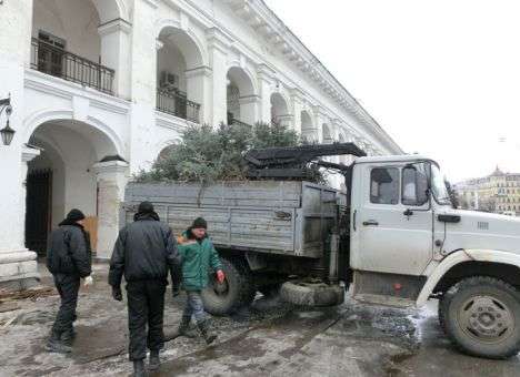 Гостиный двор «покращили» вырубкой елок
