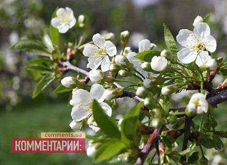 Синоптики прогнозируют приход весны после 8 марта