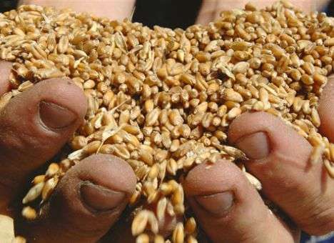 Украина экспортировала почти 18 млн. тонн зерновых