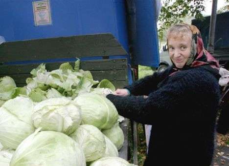 Россия сделает приятно Азарову: на малой родине премьера будут торговать украинской капустой