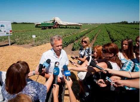Аграрии потратят на посевную на 1,3 млрд грн больше, чем в 2012 году, - Присяжнюк