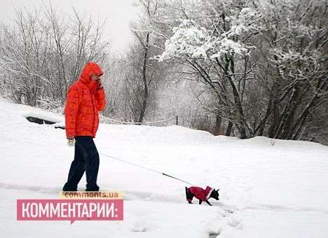 Погода на завтра: зима продолжается