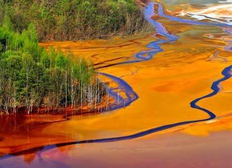 Все реки цветут