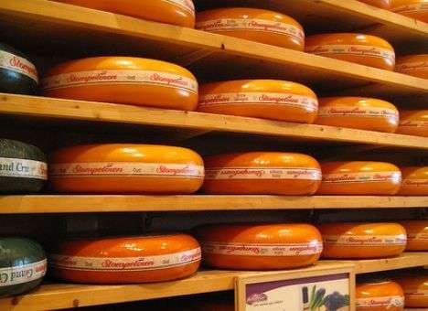 В США выбрали лучший сыр