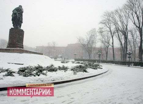 В мороз и снегопад Попов собирается масштабно встречать птиц