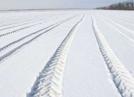 Снегопад ударил по будущему урожаю