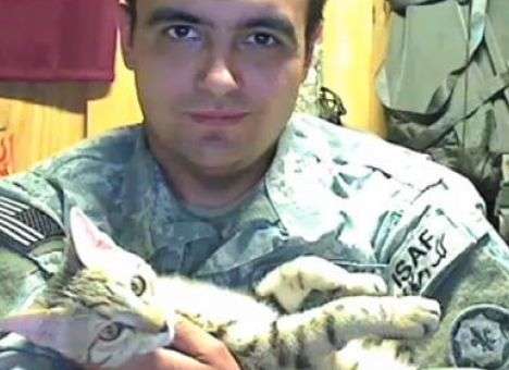 Военный США вывез из Афганистана кота по кличке Кошка