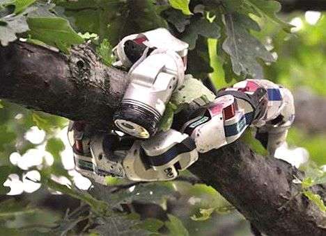 Робот-змея ползает по веткам