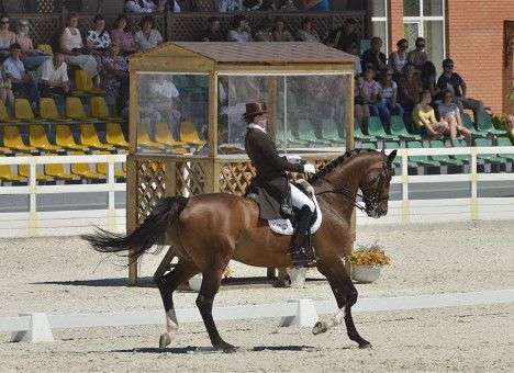 Мастера выездки поборются за путевки на финал Кубка мира