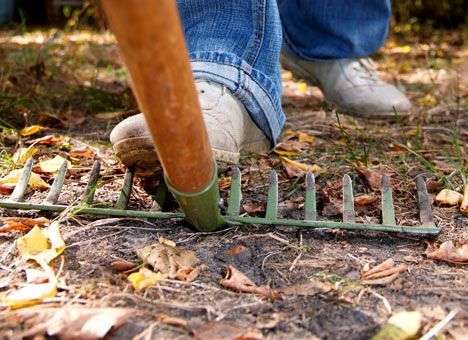 Банковая расчехлила киевские грабли