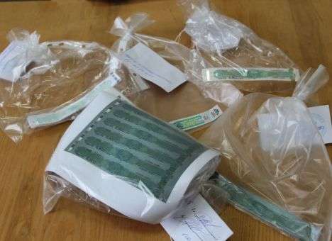 Столицу спасли от тысяч бутылок  «липовой» водки