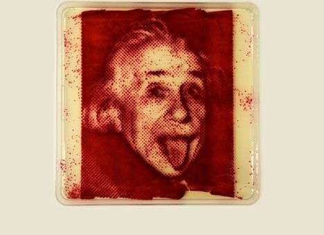 Ученые напечатали фотографии с помощью бактерий