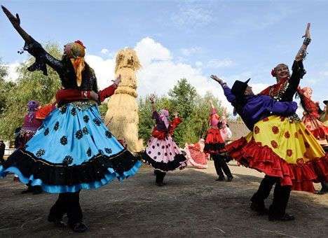 Президент велел 7 лет мыть, учить и окультуривать донецких цыган