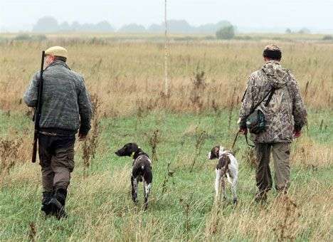 На Николаевщине у частника отобрали 17 тыс. га охотничьих угодий