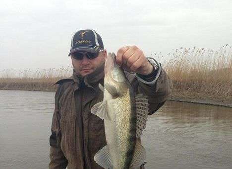 Добкин в сети похвастался уловом (ФОТО)