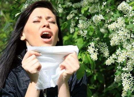 Как бороться с сезонной аллергией