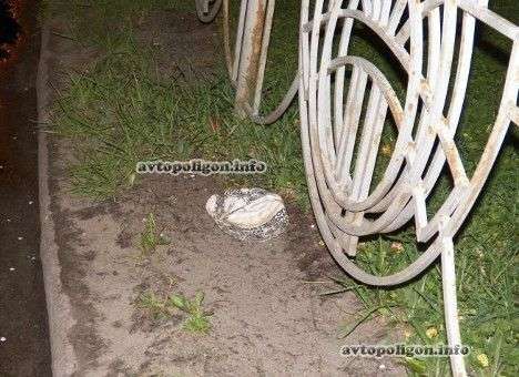 В Киеве «гаишники» сбили пешехода на зебре (ФОТО) (ДОПОЛНЕНО)