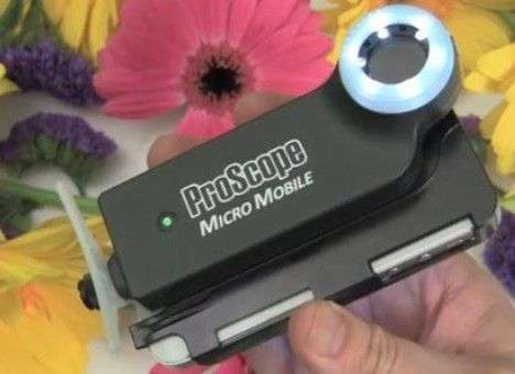 iPhone стал микроскопом (ВИДЕО)