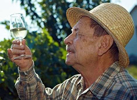 Франция введет налог на вино