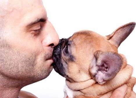 Владельцы собак реже болеют и чаще чувствуют себя счастливыми