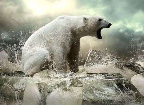 Россия и США не пускают ЕС в Арктику