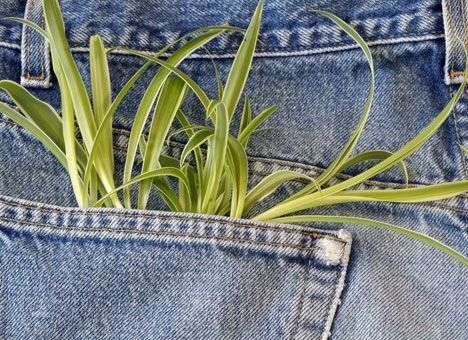 Откуда яд в детских пеленках