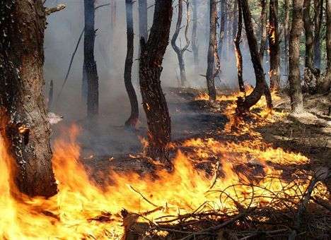 В США горит район Санта-Барбара, эвакуированы более тысячи человек