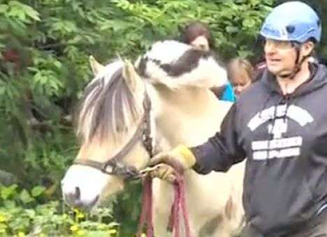 В США телепат нашла пропавшую лошадь