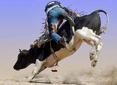 Васильков: курс выживания для оппозиции