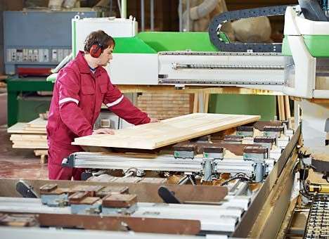 В Беларуси хотят делать мебель из чернобыльской древесины