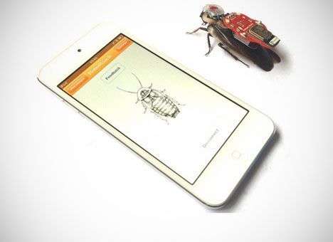 Живого таракана превратили в киборга (ВИДЕО)