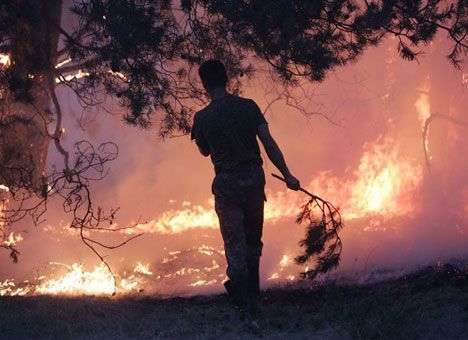 Из-за пожаров в США домов лишились уже более 5 тысяч человек