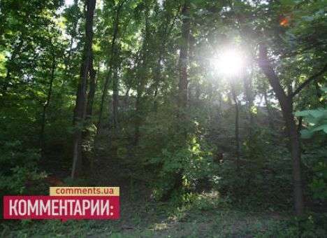 Под Киевом начали активно скупать землю